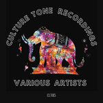 Culture Tone Various Artists Vol 1