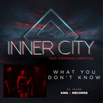 What You Don't Know (Remixes)