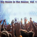 Big Room In The House, Vol 1
