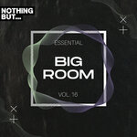 Nothing But... Essential Big Room, Vol 16