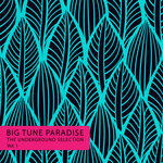 Big Tune Paradise - The Underground Selection Vol 1