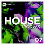 House Grooves, Vol 07