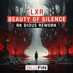 Beauty Of Silence (Rk Dious Remix)