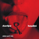 Houdini (Adam Port Mix)