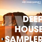Deep House Sampler V