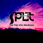 The Trip Into Madness