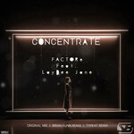 Concentrate (The Remixes)