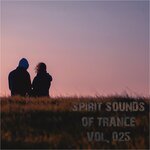 Spirit Sounds Of Trance Vol 25 (Extended Mixes)