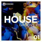 House Grooves, Vol 01