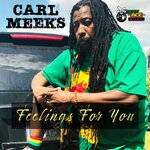 Feelings For You (Explicit)