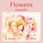 Flowers (Acapella -120 BPM / A Minor)