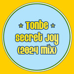 Secret Joy (2024 Mix)