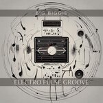 Electro Pulse Groove