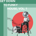 Get Down To Funky House Vol 1