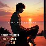 Spirit Sounds Of Trance, Vol 28 (Tribute To Sounemot)
