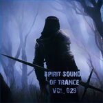 Spirit Sounds Of Trance, Vol 29 (Extended Mixes)