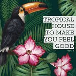 Tropical House To Make You Feel Good, Vol 1