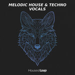 Melodic House & Techno Vocals (Sample Pack WAV)