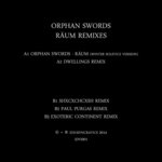 Raum Remixes