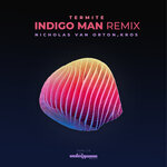 Termite (Indigo Man Remix)