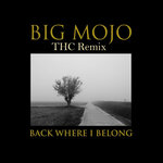 Back Where I Belong (THC Remix)