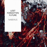 Lost Forgotten Future