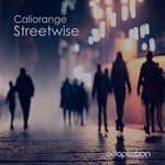 Streetwise (Original Mix)