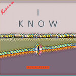 I Know (DJ Nigel Remix)