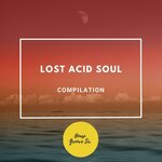 Lost Acid Soul
