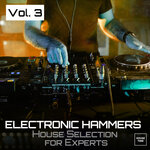 Electronic Hammers, Vol 3 (House Selection For Experts)