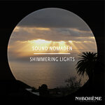 Shimmering Lights (Extended Mix)