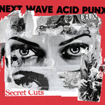 Next Wave Acid Punx DEUX - Secret Cuts