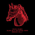 Blind On A Galloping Horse Remixes Vol 1