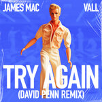 Try Again (David Penn Extended Remix)