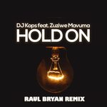 Hold On (Raul Bryan Remix)