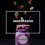 Snapdragon