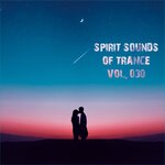 Spirit Sounds Of Trance Vol 30 (Extended Mixes)