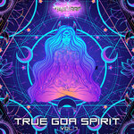 True Goa Spirit Vol 7 (Goa Trance DJ Mix)