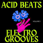 Acid Beats Electro Grooves Vol 1