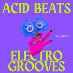 Acid Beats Electro Grooves Vol 2