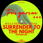Surrender To The Night