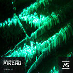 Pinchu (Extended Mix)
