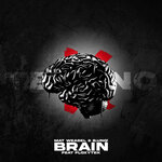 Brain