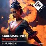 Shaking It (Afro Flamenco Mix)