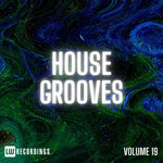House Grooves, Vol 19