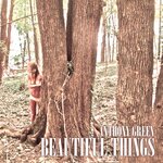 Beautiful Things (Deluxe - Explicit)