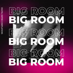 Big Room 2020, Vol 2