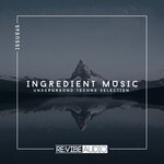 Ingredient Music, Vol 65