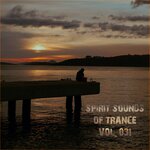 Spirit Sounds Of Trance Vol 31