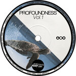 Profoundness Vol 1